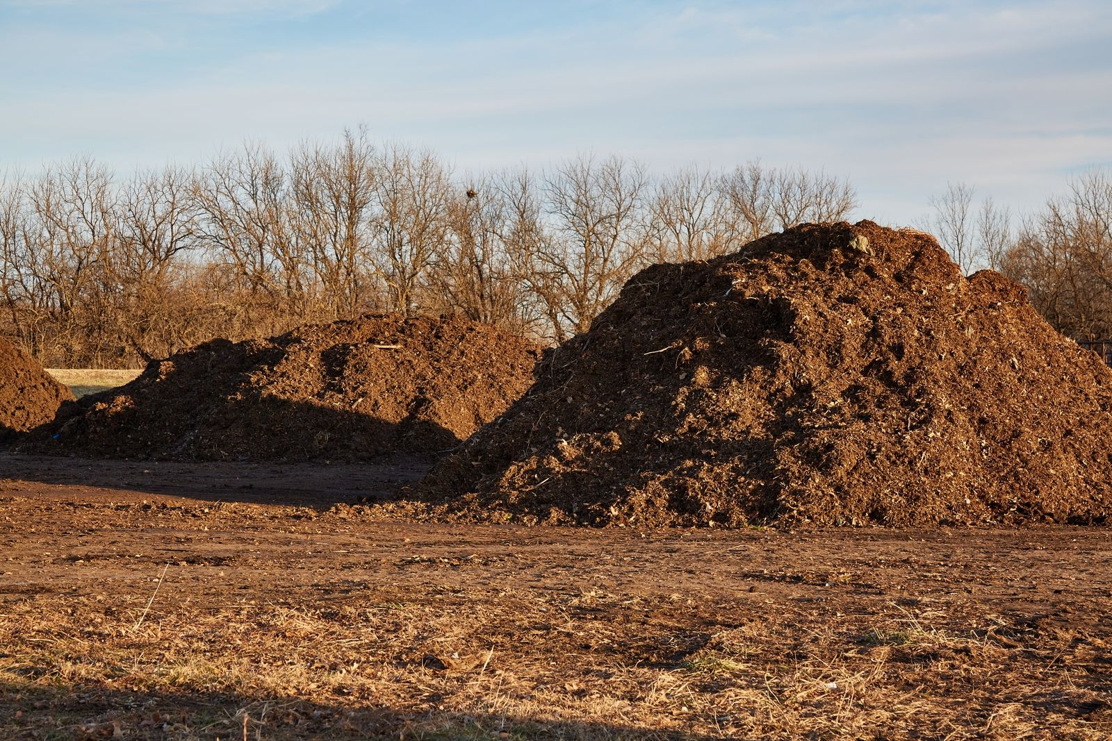 Dirt mound